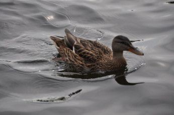 C9D30E12-FDD0-4048-8CA8-66F0FC8D8635