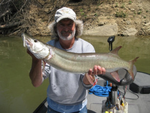 CABDAAEC-2994-43F8-A7C0-081FCA826908