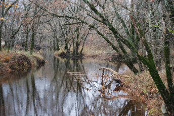 CBFBC5C8-099E-4186-804B-099000A7BC63