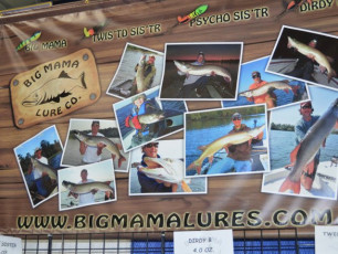 CC17DB30-3DDE-4234-9CF7-340B34C32D31