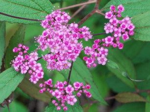 CCA23675-A940-41C3-9934-A3E2B25271A9