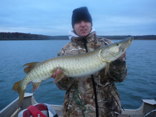 CD5A5F00-B3CB-40F7-B06C-C8D056D7D618