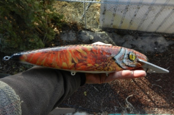 CD790B09-69D9-4951-9799-8B18CD49DCC7