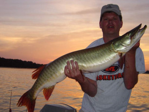 CDF377D1-DED9-4AE3-BE79-B3AE5959C065