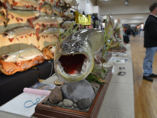 CE1612AF-2A2C-4EB2-A6FF-F6B72553D4DC