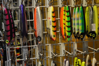 CE182C7F-E1BE-43D0-B735-53572AE42AE5