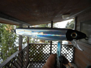 CE558F85-31C6-4282-B40F-3E130B1E6B3A