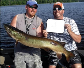 CED106F8-C114-469D-A992-5325C39F1E8A