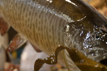 CF894B9A-B6D6-4E63-8DD0-F2A7E964BB01