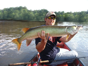 CFEA7EF7-0FAA-412D-ABA1-8B0347E89313