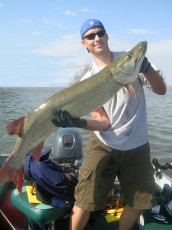 EE4C7234-DB46-4B42-BFFB-B3E819B29B4E