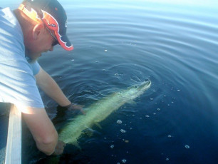 D0060DF1-A7AB-45E6-90E2-7046DB5F06FA