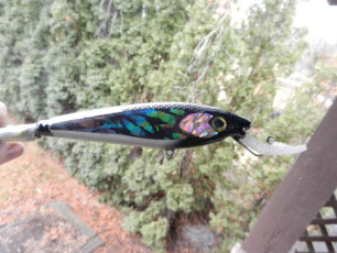 D05F9C5D-2E50-4E22-81C8-0A88840F9A30