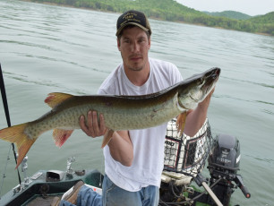 D0B33207-E93B-473D-A173-32FB5529043B