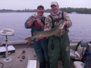 D0D3DEF4-0F8D-4DEF-8A0A-E9F39401B649