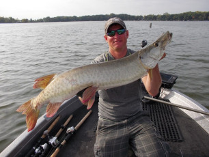 D1A31204-2542-414D-B53D-C73C8927C091