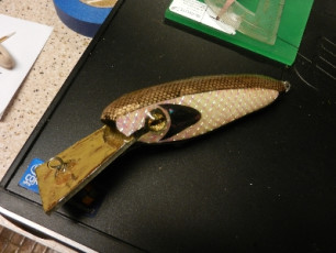 D1DD2539-5998-494E-B71F-3CD63FC250F9