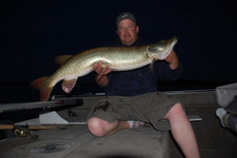 D26E6EF7-01F0-4CD1-A6ED-768ADB122293