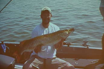 D2B83607-5BEA-455D-B22A-E1FF2CF49229