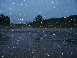 D308482A-D40F-4825-AFD7-E8A9646695B5