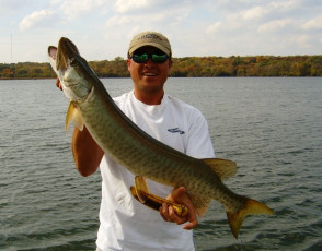 SAMSUNG DIGIMAX D530