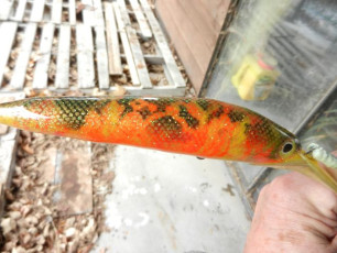 D3AE2B85-6B32-4CBA-B2A0-14043B9B65A7