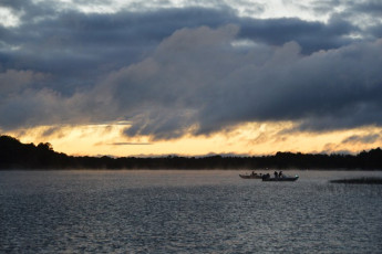 D3D1C476-5A0C-4463-BEBB-F92054C1B9AC