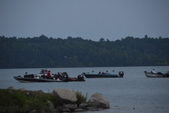 D46BF25C-1008-44BE-BC98-91FF3A983296