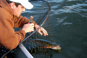 D4B66CAD-FB5C-4D8B-8917-C99CAB640C75