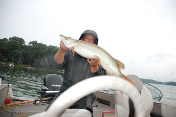 D4FAAA0F-EFA0-4141-B28B-8FF1F76B9FC8