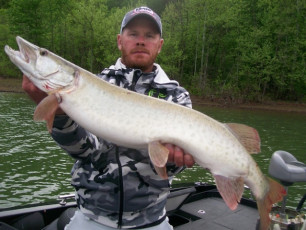 D51FC6F8-7CCF-4A22-8ED4-F9CB27F4F527