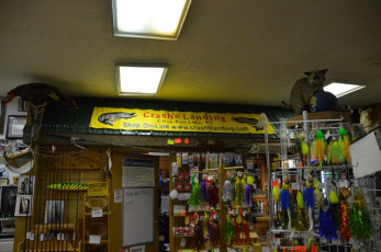 D5402712-1B86-452C-ABD6-C673ABEADE26