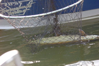 D54D6CFC-E6B9-42D2-91E6-4B88A7070111