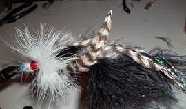 D566FB53-1494-49C1-9AC4-6CF992E09FC9