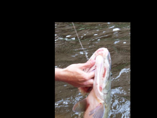 D5DC5890-4E89-4A6A-8E41-E89AE6CFAF55