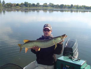 D5E04D2D-5660-48EE-A36B-3BC3580CCAF4