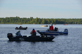 D625F81A-24A1-4804-9D80-A85FE182B83C