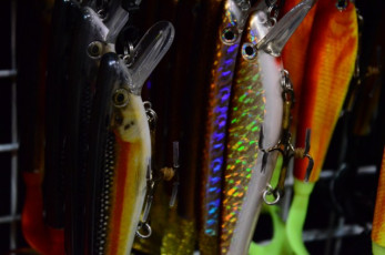 D694287A-2D26-4DE7-92EB-34C57064690E