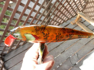 D6A5F7A4-9D6C-4BE4-8289-5762D861926F