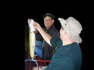 D715AD0F-9378-4FDC-8C73-E51B1F5BBF41