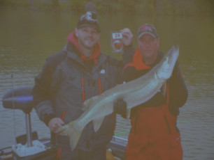 D77B88DF-AA5A-4665-8E2A-12047A25845E