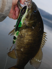 D789C1D4-9104-4B6C-B9A5-69ECE11B9AF9