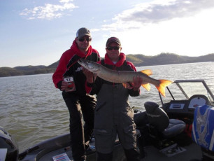 D80CB457-64E2-4DE4-BB6E-9AAB2AC91C3F