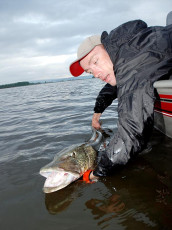 D87957BC-2547-4547-9584-0FBEA4D678E2