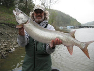 D88F0F9F-3023-4D46-B78F-293BAE1306F3