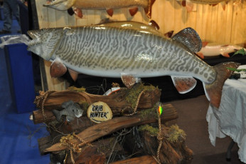 D8B87925-DDF9-400D-8488-4F8655F26AF1