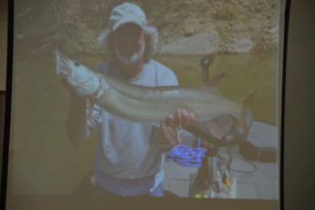 D95605DA-7245-4F3A-8E7F-F89C6A50699A