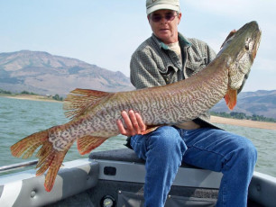 D9A8CFB6-7C3A-4187-A698-33CA1031B4B2