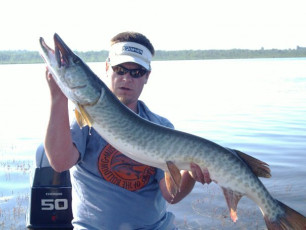 D9BB4921-F92D-4B1B-A246-5A8D888797FB