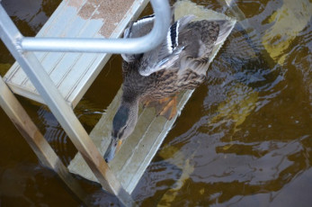 D9D742C7-EB80-4C9F-B309-8BAC83D1E994